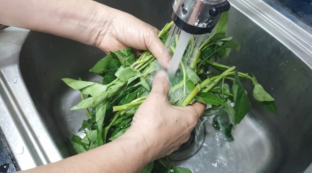 Mistakes in storage methods reduce the freshness and nutrition of vegetables. Photo: Tuan Dat