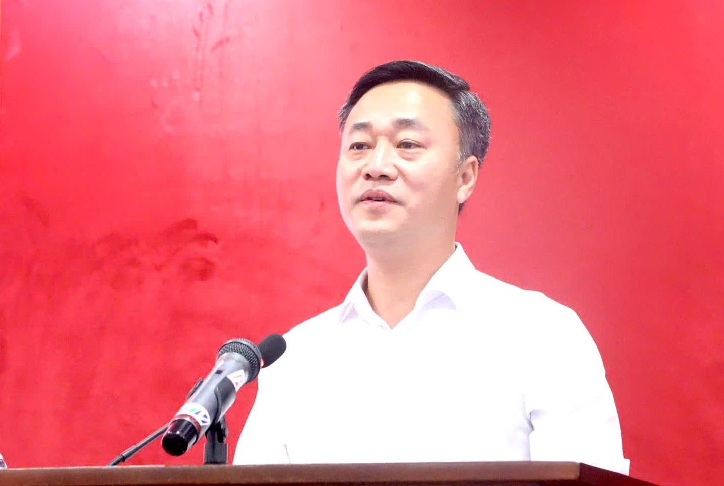 Ông Nguyễn Việt Hùng chỉ ra nhiều nguyên nhân để tiến độ giải phóng mặt bằng một số dự án trọng điểm, động lực hiện còn chậm. Ảnh: Hữu Long