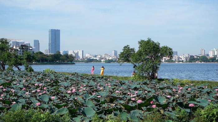 Capital residents invite each other to preserve the lotus season moment at West Lake