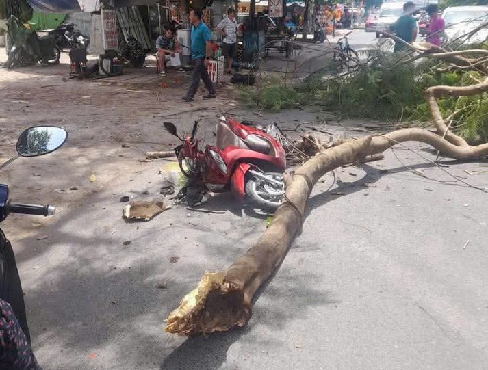 折れた木の枝がバイクに乗っていた女性を押しつぶしました。写真:ハイ・タイン