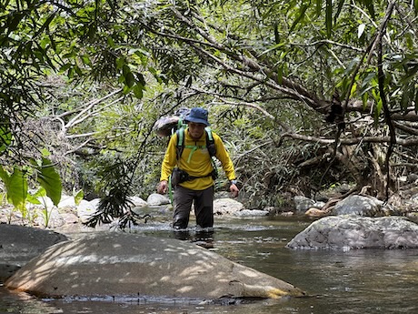 Không có đường mòn, đoàn khảo sát băng rừng, nhiều đoạn phải lội suối. Ảnh: Trường Sinh