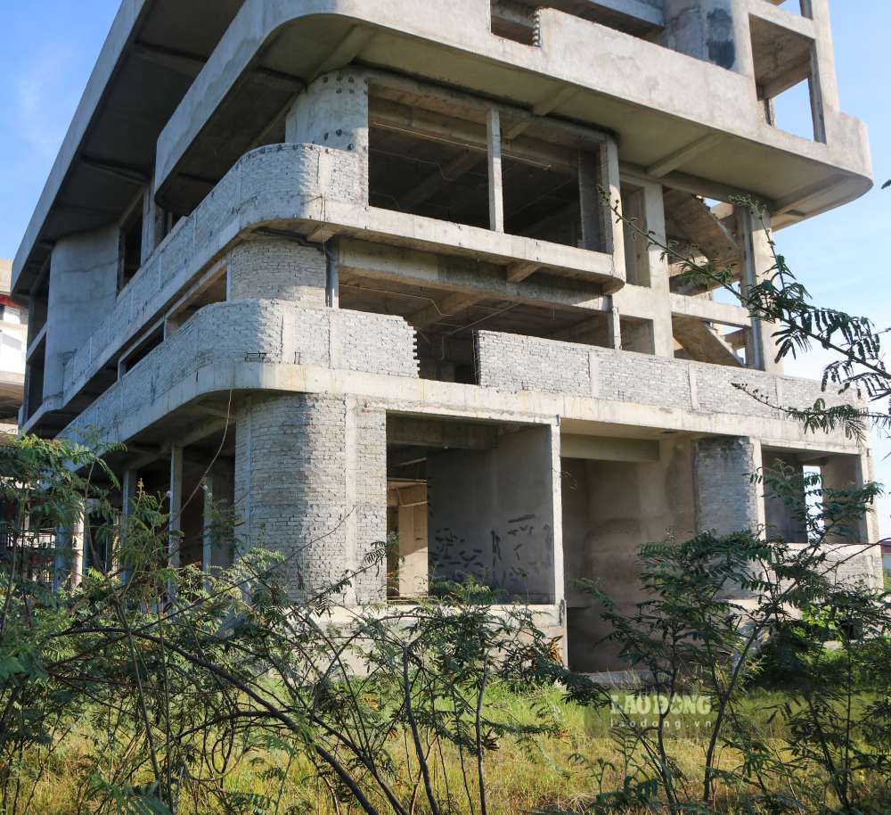Bên trong dự án không một bóng người. 