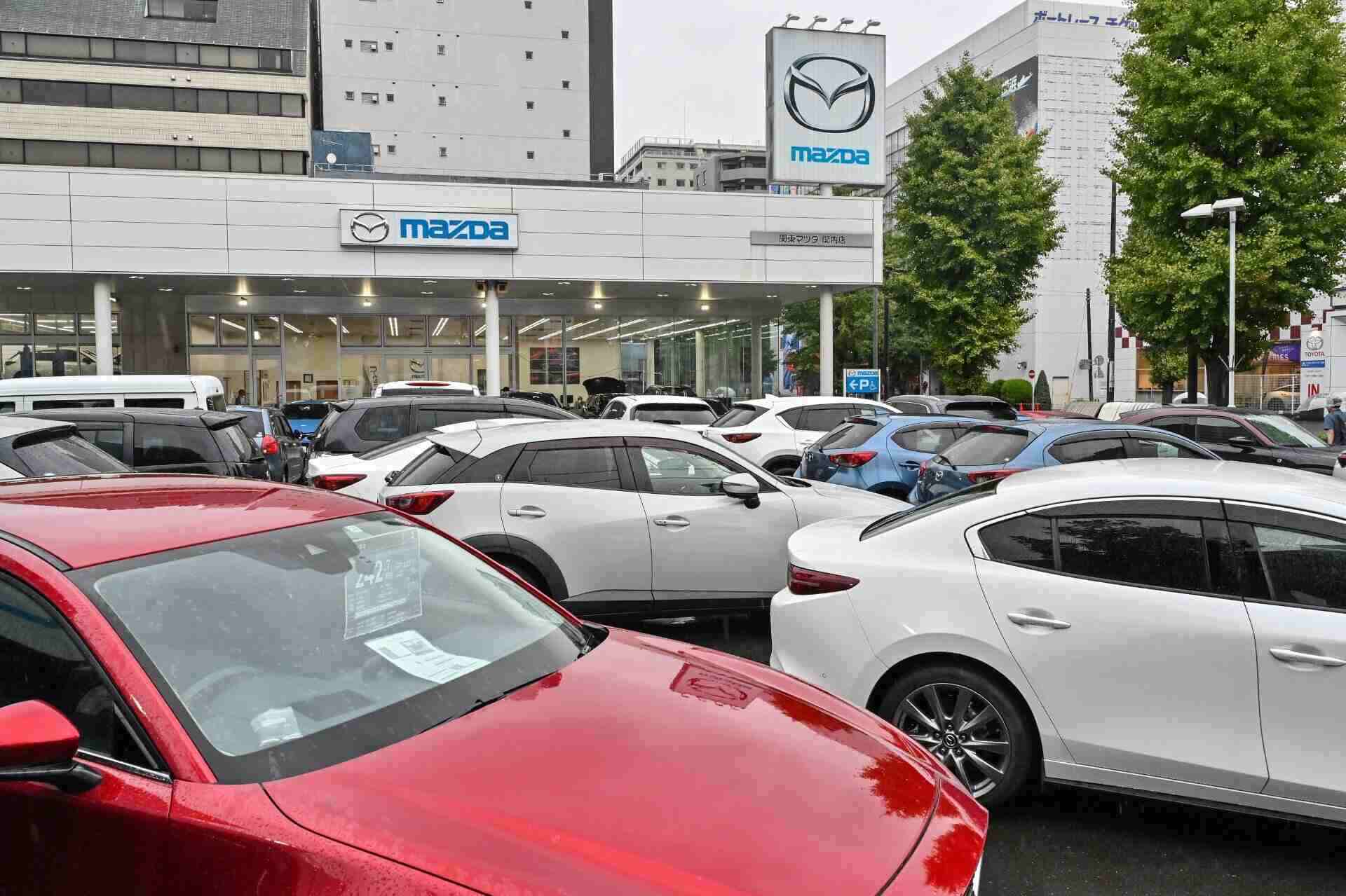 Japan will begin reviewing the mandatory driving skills test for drivers aged 75 and over with a history of traffic violations. Photo: AFP