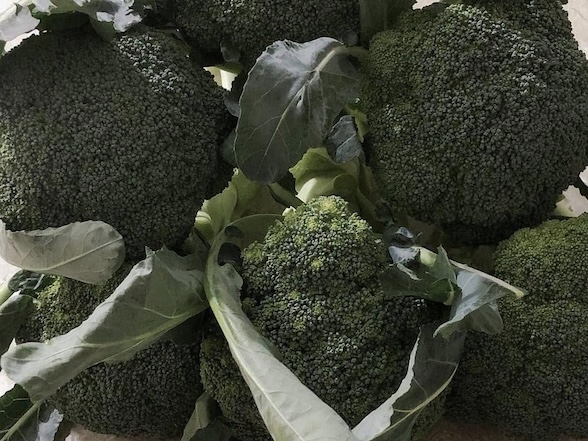 Increasing green vegetables such as broccoli in the diet will support the liver to detoxify. Photo: Kieu Vu
