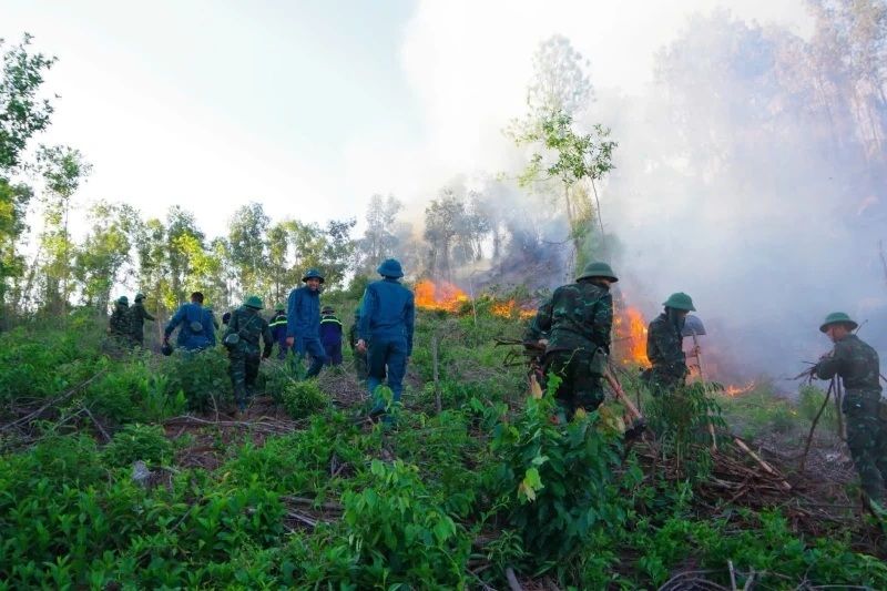 タインホア省ハイビン区で森林火災が再発。写真:トゥ・フオン