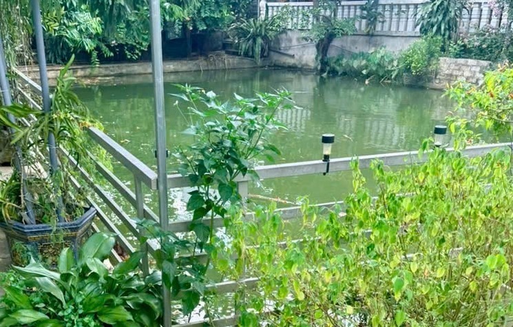Scene of the tragic drowning of two biological brothers in Quy Hop commune, Nghe An province. Photo: Ngoc Anh