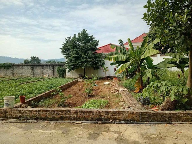 Land plot prices in the suburbs of Hanoi increase sharply, Hung Yen leads with 68%. Photo: Binh Nguyen