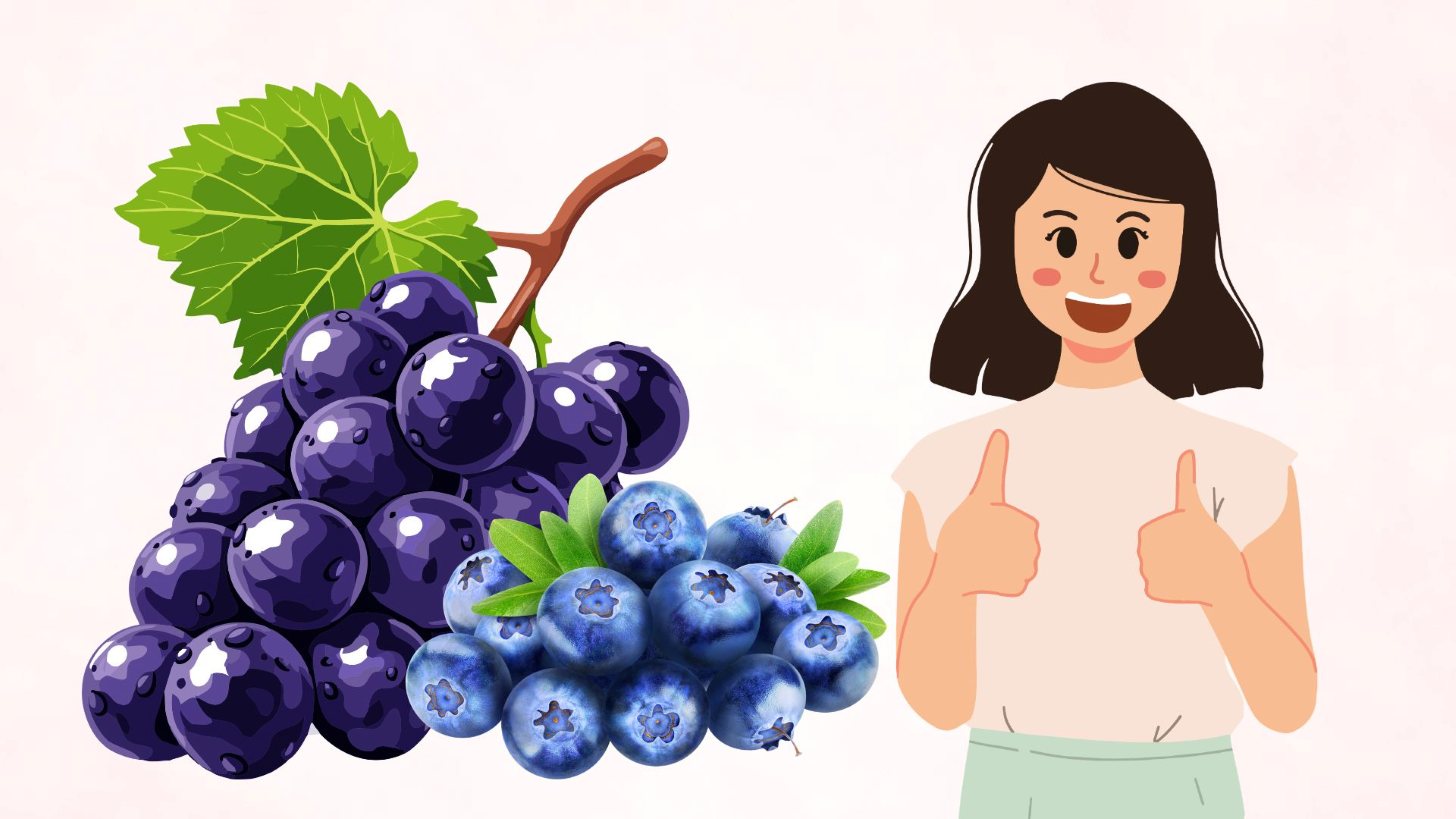 Le raisin est un fruit riche en polyphénols - des composés antioxydants bénéfiques pour la santé. Graphique: Thanh Thanh