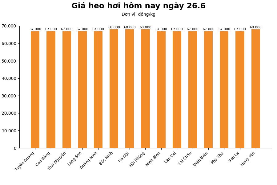 Giá heo hơi hôm nay 26.6 tại khu vực miền Bắc. Đồ họa: Thùy Linh