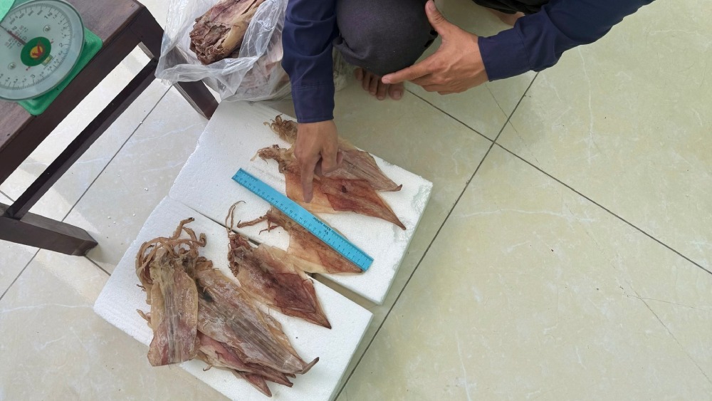 Nguyen Van Tuan was prosecuted for investigation into the act of property theft. Photo: CACC