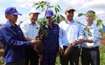 Đưa công nghệ về vùng sản xuất, Đắk Lắk tạo bước chuyển cho nông nghiệp thông minh