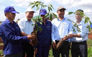 Đưa công nghệ về vùng sản xuất, Đắk Lắk tạo bước chuyển cho nông nghiệp thông minh