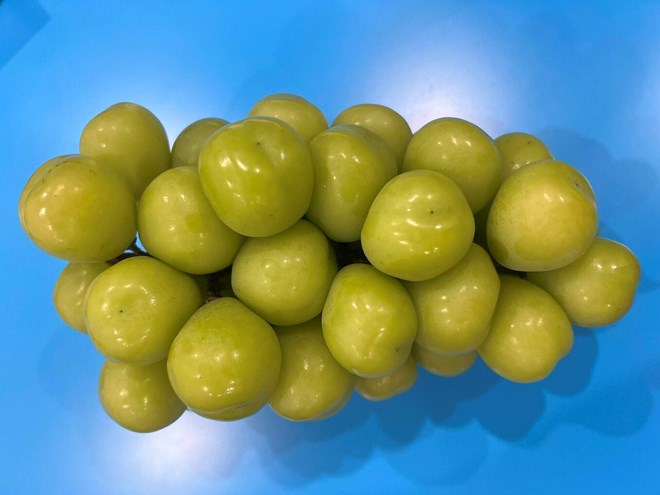 Grapes are a fruit rich in vitamins and antioxidants, but also contain a relatively high amount of natural sugar. Photo: Kieu Vu