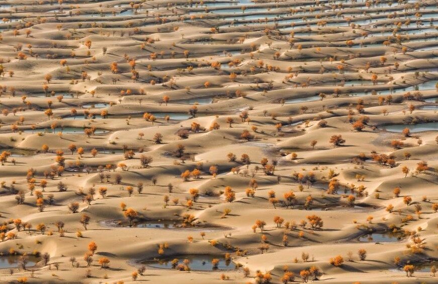 An area in Hotan County, Hotan Province, Xinjiang Uygur Autonomous Region, northwest China. Photo: Xinhua