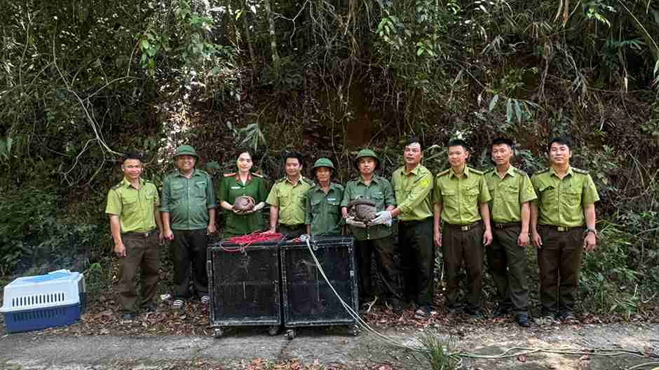 People in Buon Ma Thuot ward, Dak Lak province voluntarily handed over 4 rare and precious wild animal individuals. Photo: Police provided