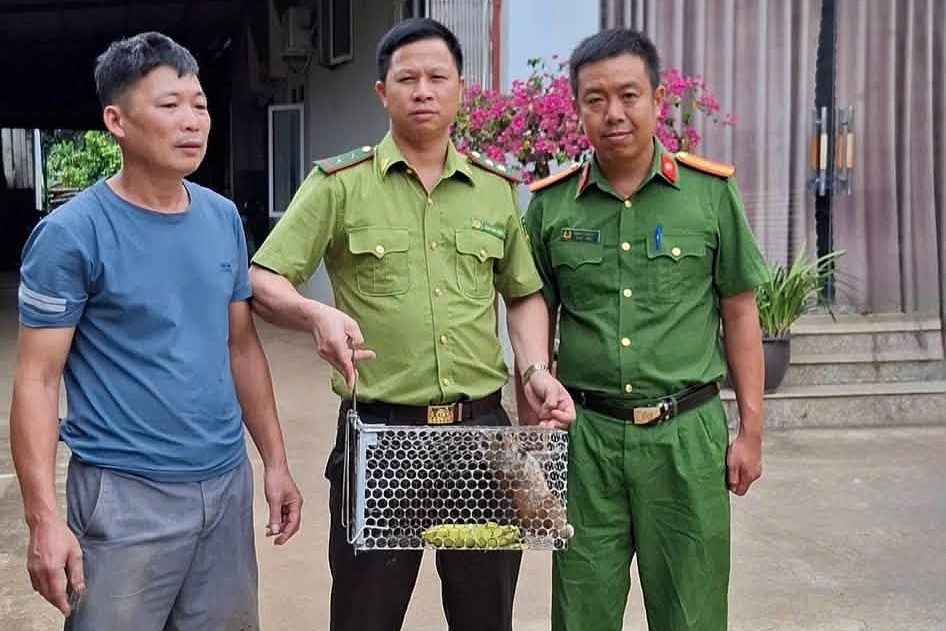 Functional forces receive a small cu li individual from the family of Mr. Nguyen Huy Giang, Na Ha 2 village, Chieng Mung commune, Son La province. Photo: Chieng Mung Commune Police