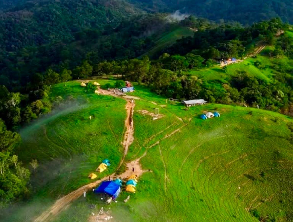 Cung trekking Tà Năng Phan Dũng xanh rực màu cỏ. Ảnh: Thành Trường