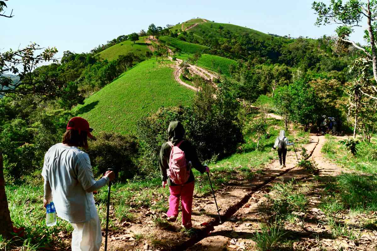 Các bạn trẻ trekking trên cung đường. Ảnh: Thành Trường