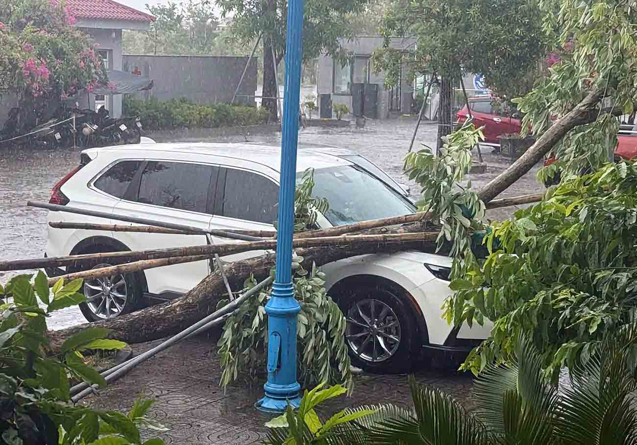 Mưa kèm gió lớn khiến cây đổ đè trúng ô tô ở phường Thành Sen. Ảnh: Lam Giang