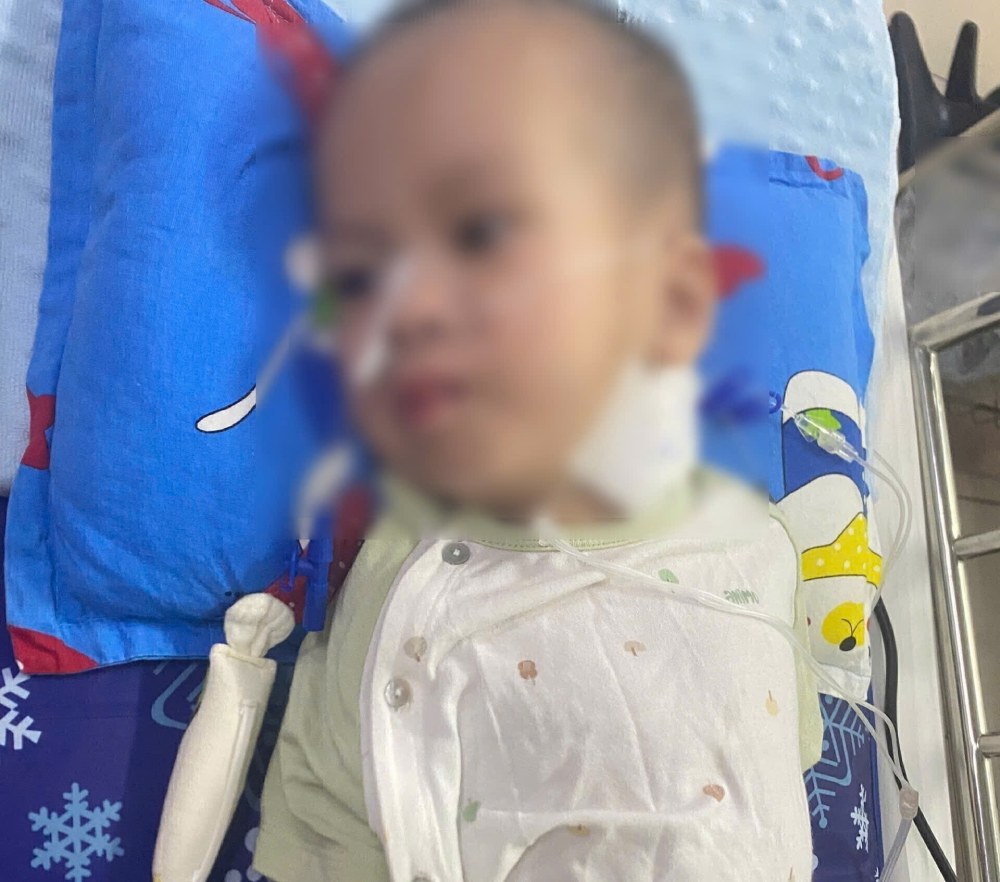 Cách đây không lâu, bé Hiếu vẫn là một đứa trẻ khỏe mạnh, nay con gần như mất nhận thức. Ảnh: Gia đình cung cấp
