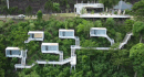 Enforcing the illegally built resort if the investor does not dismantle it themselves. Photo: Hung Tho