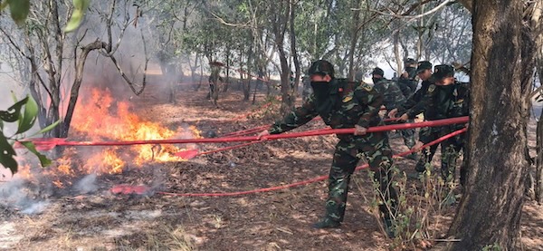 Efforts to extinguish the fire, minimizing damage caused by the protection forest fire. Photo: Xuan Dien