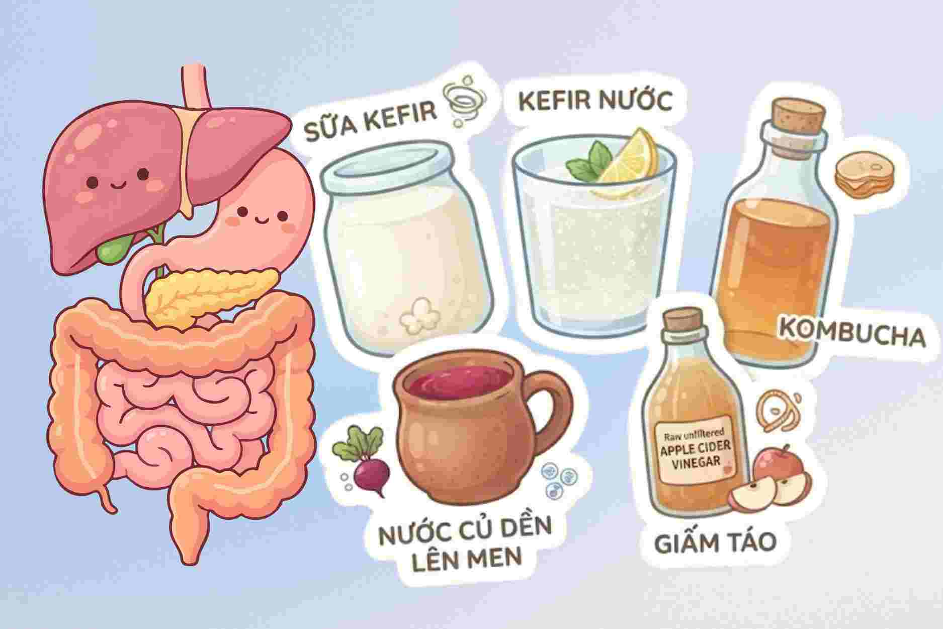 5 types of fermented drinks good for the digestive system and intestines