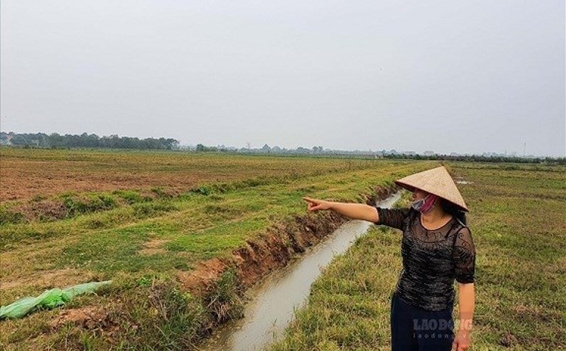 People need to contact the local authorities where the land is located directly to understand the planning information before applying for land use purpose conversion. Photo: Phan Anh