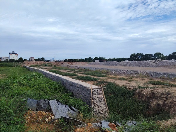 Land auctions are of interest to many people. Photo: Xuyen Dong