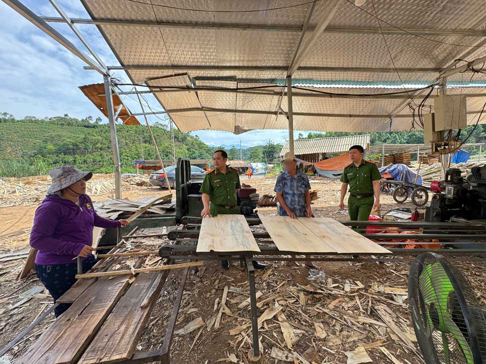 Xưởng chế biến lâm sản tiếp nhận ông G.S.S. vào làm việc với công việc phơi ván bóc. Ảnh: Công an Lào Cai