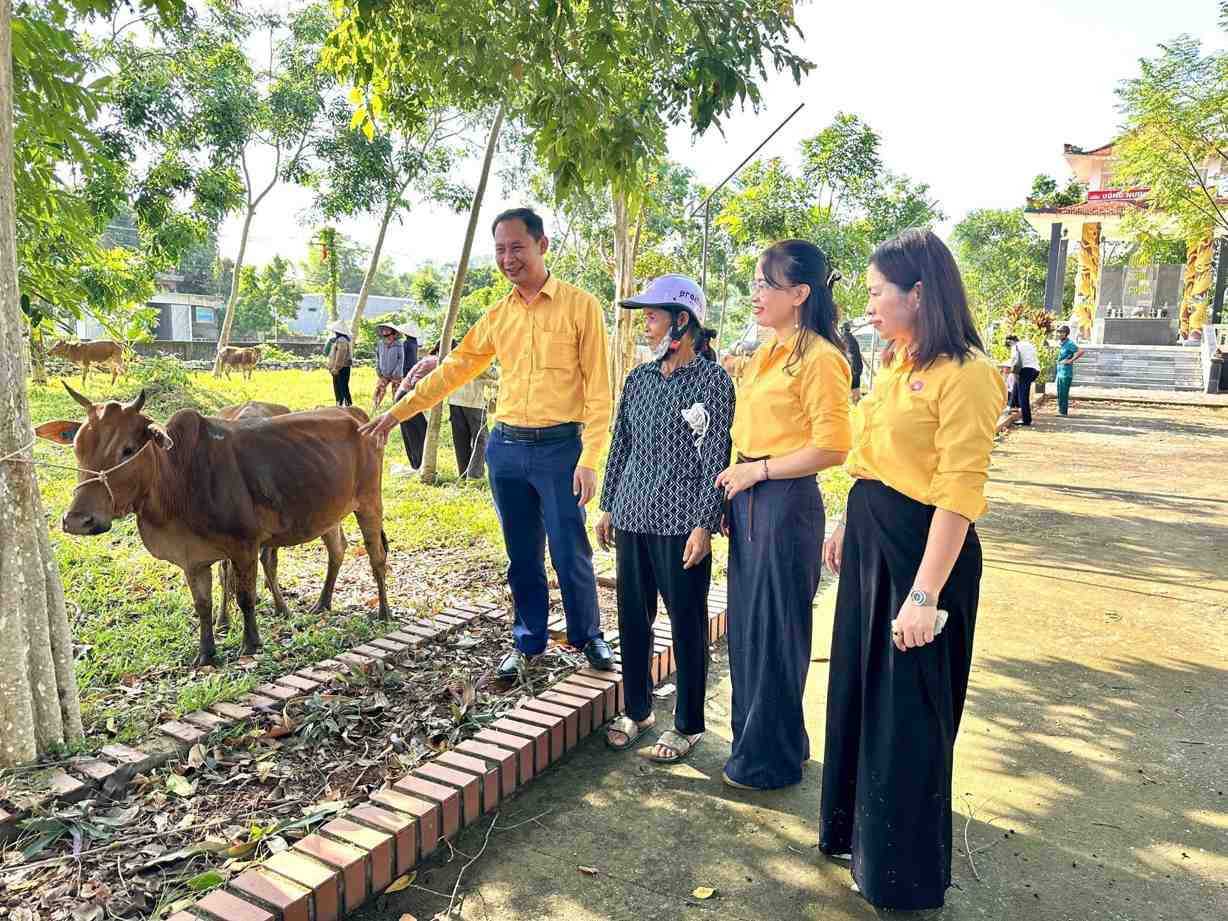 Hỗ trợ 36 con bò sinh sản cho hộ nghèo xã miền núi Nghệ An
