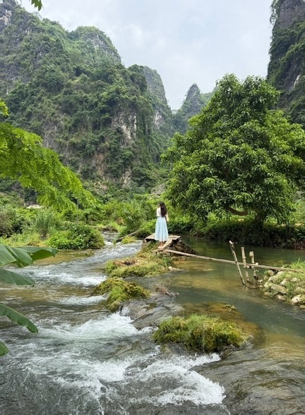 Đặc biệt, bên suối có một cây sung lớn vắt ngang, tỏa bóng mát xuống cả một khoảng rộng. Ảnh: NVCC