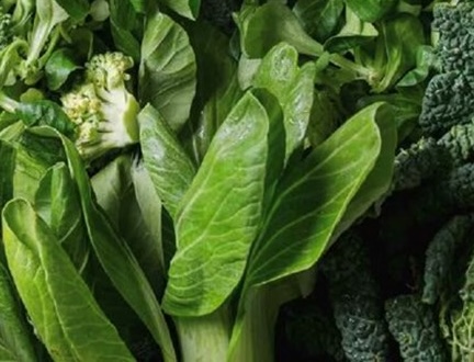Augmenter le nombre de légumes verts est l'un des moyens simples de soutenir la détoxification rénale que l'on peut faire à la maison. Photo: Kiều Vũ