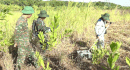 The army uses radar to search for martyrs' graves in Quang Tri. Photo: Han Nguyen