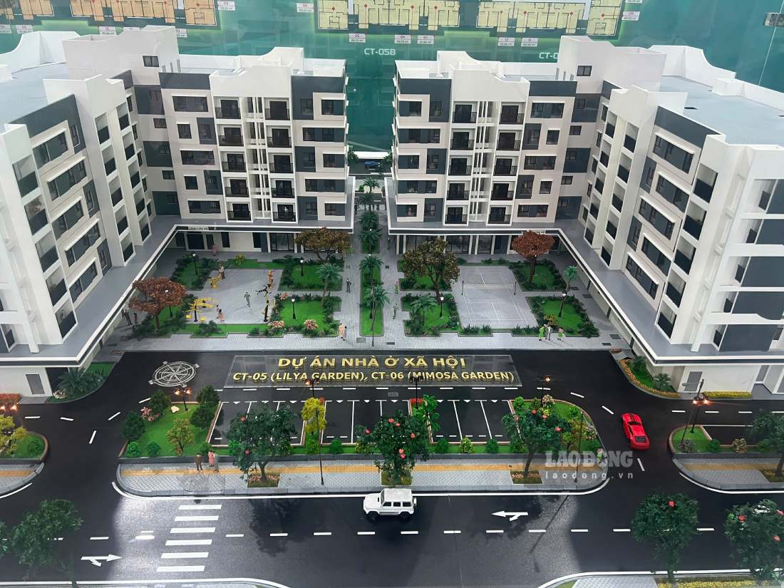 Phối cảnh dự án. Ảnh: Đinh Hiệp