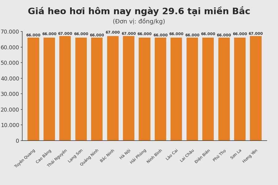 Giá heo hơi hôm nay 11.11 tại khu vực miền Bắc. Đồ hoạ: Thuỳ Linh 