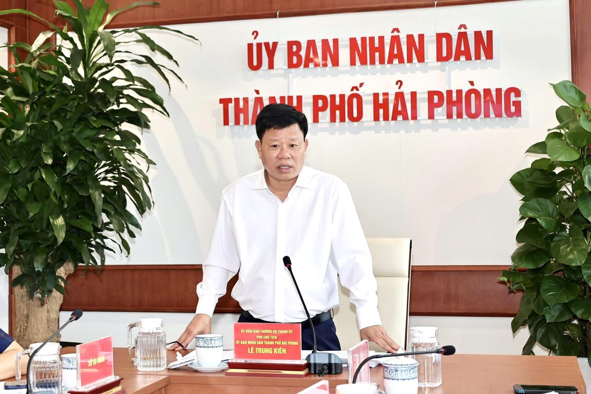 Phó Chủ tịch UBND thành phố Lê Trung Kiên phát biểu chỉ đạo. Ảnh: Cổng TTĐT Hải Phòng
