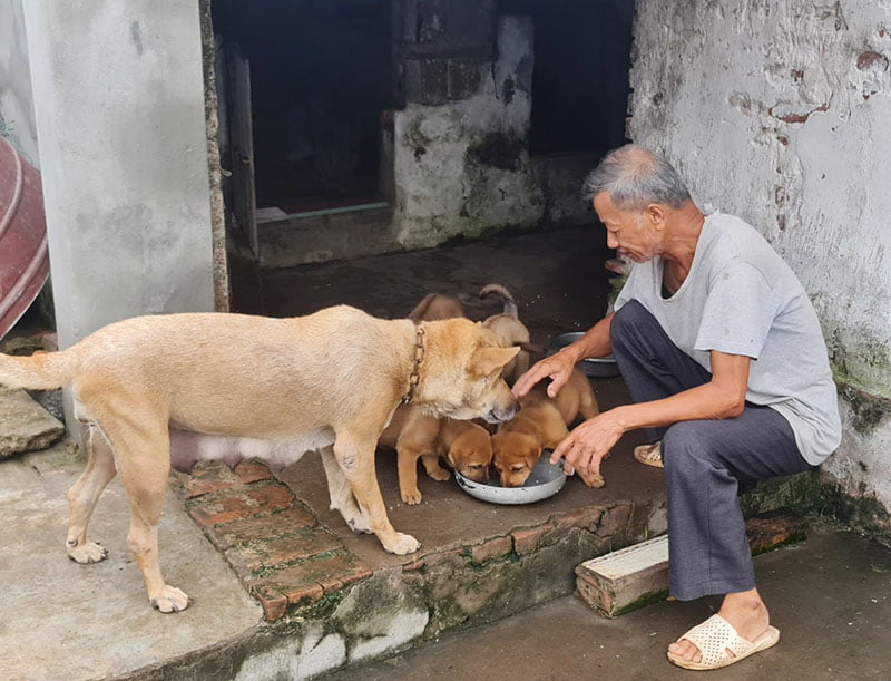 With poor health, Mr. Vinh wishes to reduce the age of enjoying social pension benefits to 70 so that old age is less difficult. Photo: Provided by the character.