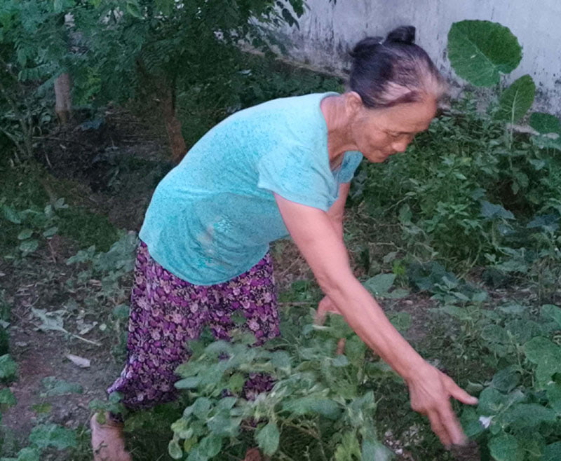 Có thêm trợ cấp hưu trí xã hội giúp bà Nhung yên tâm hơn trong cuộc sống. Ảnh: Nhân vật cung cấp. 