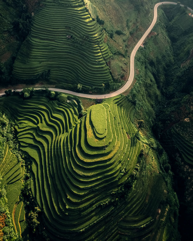 Garrya Mù Cang Chải nằm ở độ cao khoảng 1.000m, bao quanh là ruộng bậc thang.