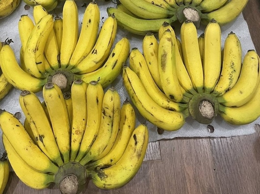Choosing bananas - fruits with low to medium glycemic index - is very important. Photo: Kieu Vu