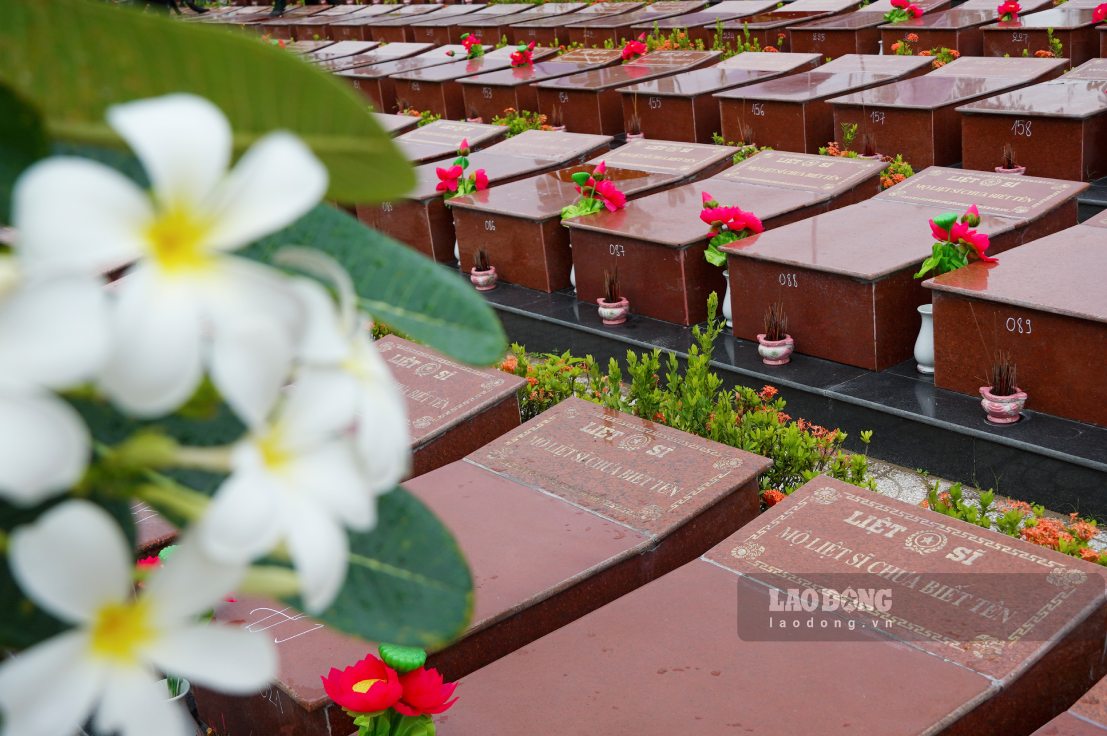Nghĩa trang Liệt sĩ thành phố Cần Thơ hiện có 3.344 ngôi mộ đơn, trong đó có hơn 800 ngôi mộ chưa xác định được thông tin.