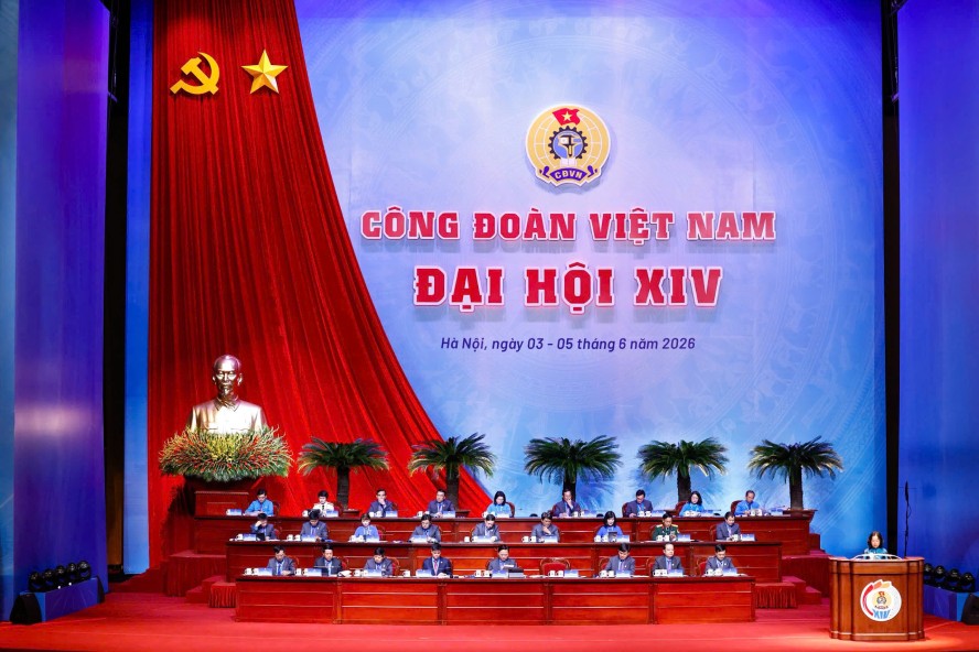 Photo by Hai Nguyen