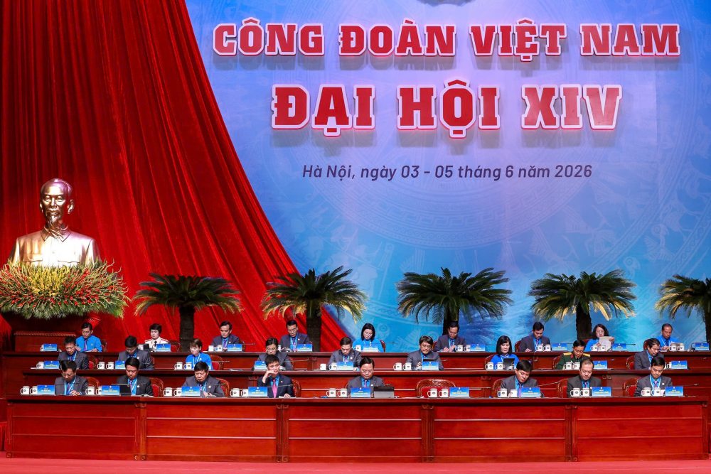 Photo by Hai Nguyen