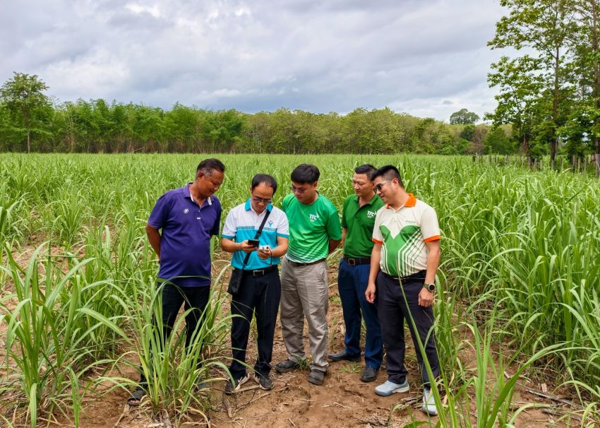 Chuyên gia, cán bộ kỹ thuật Phú Mỹ áp dụng công nghệ đo dinh dưỡng đất tại ruộng mía tại Lào. Ảnh: PVFCCo