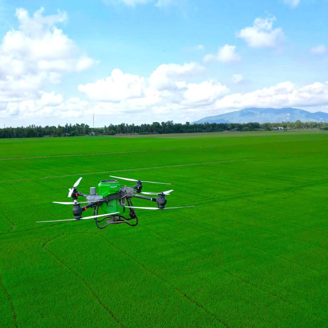 Giải pháp dùng thiết bị bay không người lái (drone) tiết kiệm chi phí đem lại hiệu quả cho bà con nông dân. Ảnh: PVFCCo