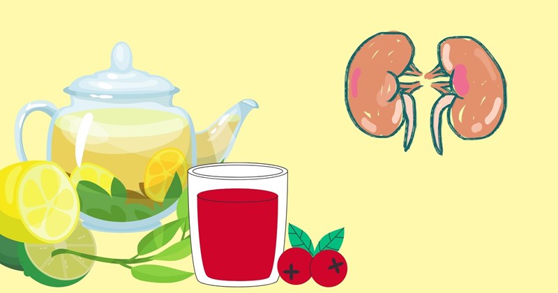 Some natural drinks help enhance kidney function. Photo: Huyen Trang