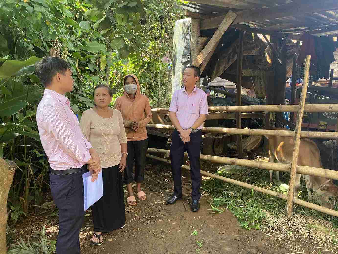 Getting credit loans at preferential interest rates has helped many poor people in Dak Lak develop household economy. Photo: Bao Trung
