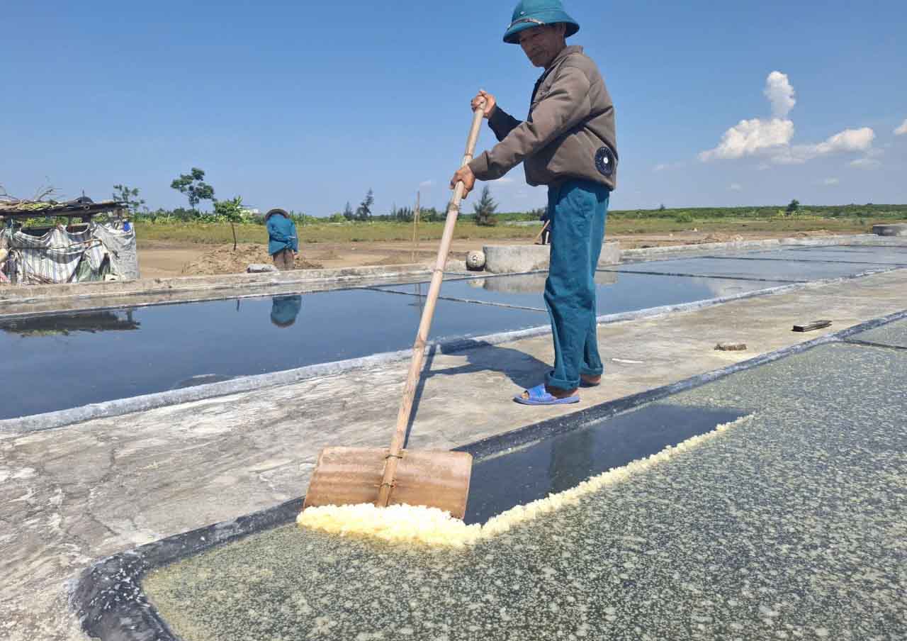 Ông Niên gom những hạt muối đã kết tinh dưới nắng nóng. Ảnh: Trần Tuấn