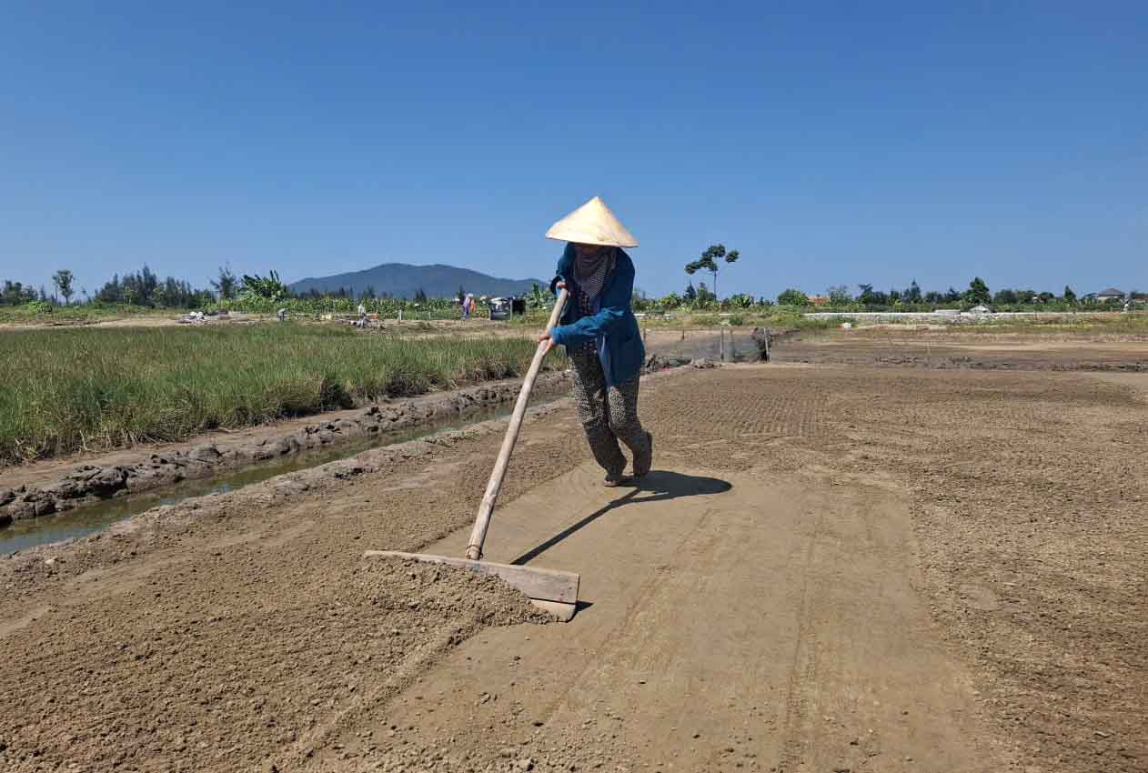 Đã 77 tuổi, hàng ngày bà Hương vẫn nhọc nhằn bám trụ với nghề làm muối. Ảnh: Trần Tuấn